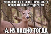 -МИЛЫЙ ПОЧЕМУ ТЫ НЕ ОТВЕЧАЕШЬ?-Я ПРОСТО МОЮ ПОСУДУ,ДОРОГАЯ -А, НУ ЛАДНО ТОГДА