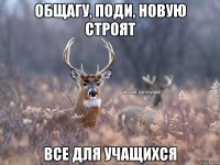 общагу, поди, новую строят все для учащихся