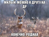 Милый, можно к другу на др Конечно, родная