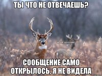 Ты что не отвечаешь? Сообщение само открылось, я не видела