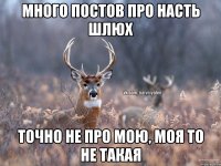 Много постов про Насть шлюх точно не про мою, моя то не такая