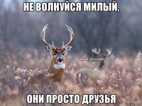 Не волнуйся милый, Они просто друзья