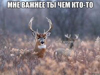 мне важнее ты чем кто-то 