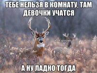 ТЕБЕ НЕЛЬЗЯ В КОМНАТУ, ТАМ ДЕВОЧКИ УЧАТСЯ А НУ ЛАДНО ТОГДА