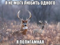 я не могу любить одного я полигамная