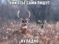 они тебе сами пишут ну ладно