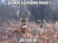 ДА МНЕ БЫВШИЙ ПИШЕТ ВЕСНА ЖЕ