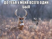 ДО ТЕБЯ У МЕНЯ ВСЕГО ОДИН БЫЛ 