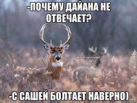 -Почему Дайана не отвечает? -С Сашей болтает наверно)