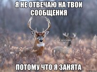 Я не отвечаю на твои сообщения Потому что я занята