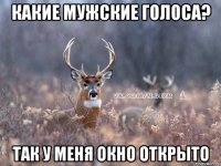 какие мужские голоса? так у меня окно открыто