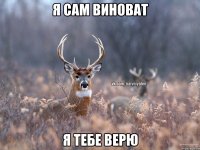 я сам виноват я тебе верю