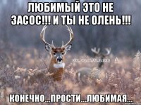 любимый это не засос!!! и ты не олень!!! конечно...прости...любимая...