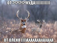 от ?!?!?!?!КУДА))))))))))) от ОЛЕНЯ ))))ахахахахахаха