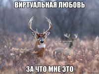 Виртуальная любовь За что мне это