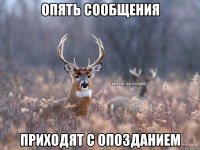 Опять сообщения приходят с опозданием