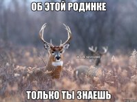 ОБ ЭТОЙ РОДИНКЕ ТОЛЬКО ТЫ ЗНАЕШЬ