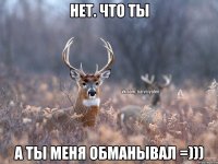 Нет. Что ты А ты меня обманывал =)))