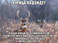 Курица подойдет В ладно,фильм про всемирный разум посмотрю, авось приобщусь. Буду как все. Пять стаканов воды: как завещала фитнесс-инструктор