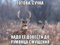 Готова, сучка Надо её довести до румянца смущения