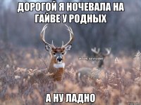 Дорогой я ночевала на Гайве у родных А ну ладно