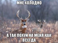 Мне холодно А так похуй на меня как всегда