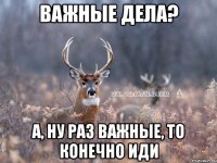 важные дела? а, ну раз важные, то конечно иди