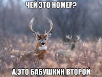 Чей это номер? А,это бабушкин второй