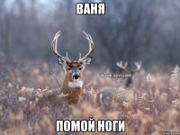 Ваня ПОМОЙ НОГИ