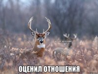  оценил отношения