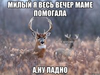 Милый я весь вечер маме помогала А,ну ладно