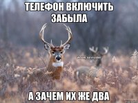 Телефон включить забыла А зачем их же два