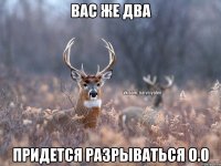 Вас же два Придется разрываться о.0