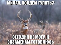 Милая, пойдем гулять? Сегодня не могу, к экзаменам готовлюсь