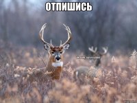 отпишись 