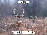 просто такая любовь