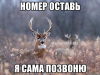 номер оставь я сама позвоню