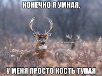 конечно я умная, у меня просто кость тупая