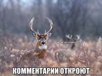  Комментарии откроют