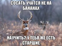 Сосать учатся не на бананах Научить? У тебя же есть старшие