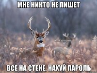 Мне никто не пишет Все на стене, нахуй пароль