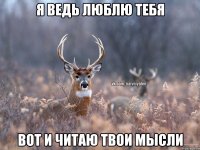 Я ведь люблю тебя Вот и читаю твои мысли