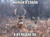 Милый я спала А ну ладно,ок