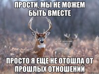 прости, мы не можем быть вместе просто я еще не отошла от прошлых отношений