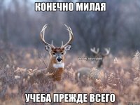 конечно милая учеба прежде всего