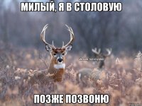 милый, я в столовую позже позвоню