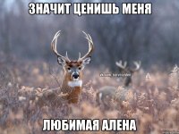 Значит ценишь меня Любимая Алена