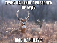 Трубу на кухне проверять не буду Смысла нету :)