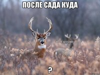 После сада куда ?