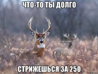 Что-то ты долго Стрижешься за 250